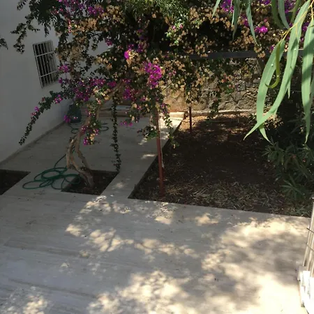 Palmiye Tatil Evi Holiday home *