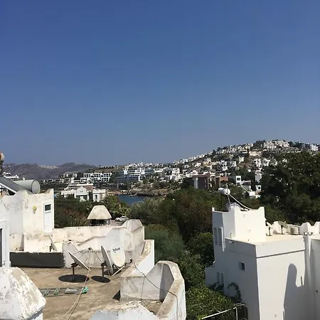 Palmiye Tatil Evi Holiday home *