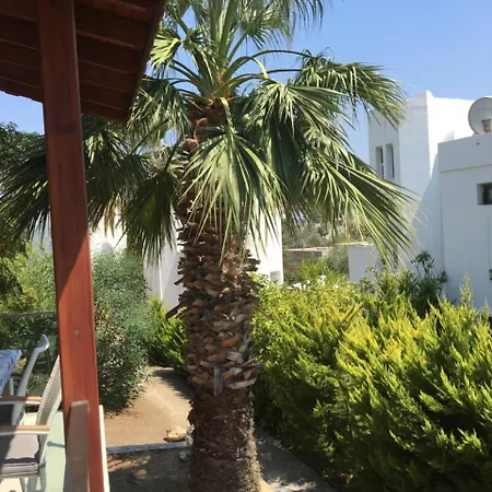 Palmiye Tatil Evi Holiday home Yalikavak